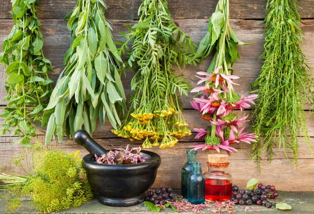 با این گیاهان از کبد و صفرای خود محافظت کنید