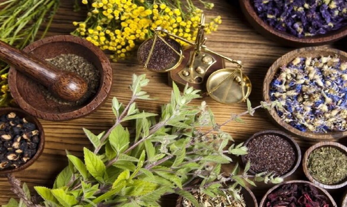 تلفیق گردشگری و طب ایرانی راهکار توسعه اقتصادی کشور