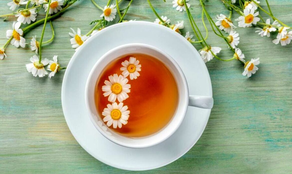 خواص این گیاه برای معده را بدانید