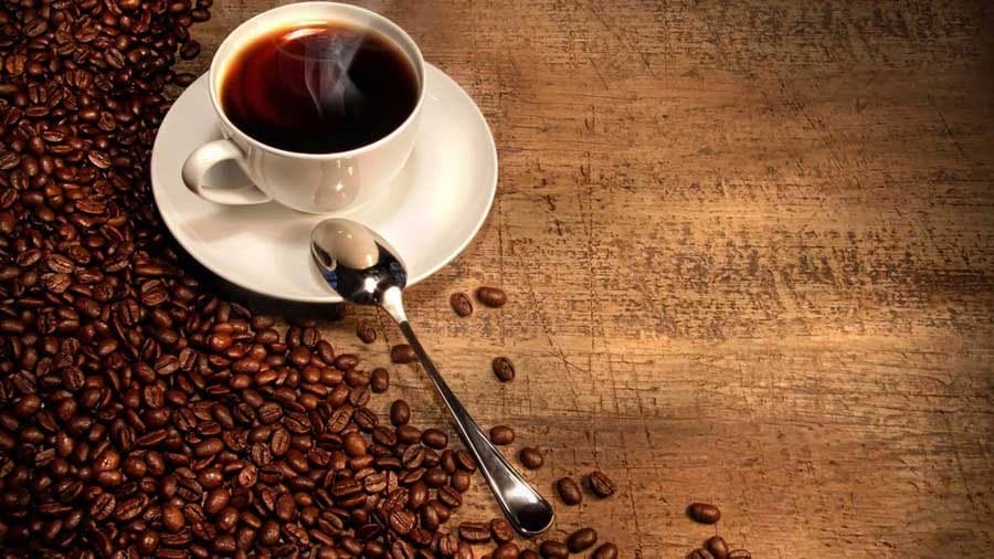 خواص قهوه ی موکا گانودرما
