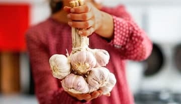 سیر سیاه برای تنبلی تخمدان