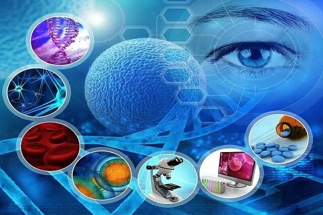عرضه محصولات زیست‌فناوری به بازار از سوی ۷۰۰ شرکت دانش‌بنیان