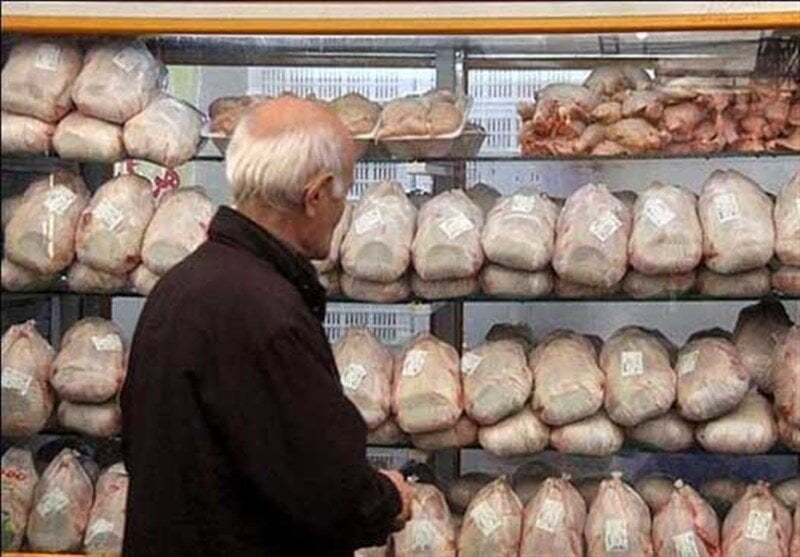 نوسان دامن گیر مرغ! – اخبار ما