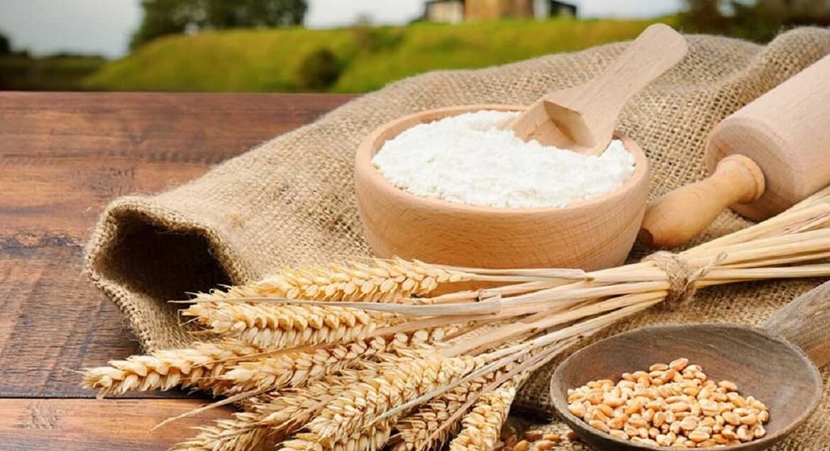 پودر جوانه گندم با آب جوش